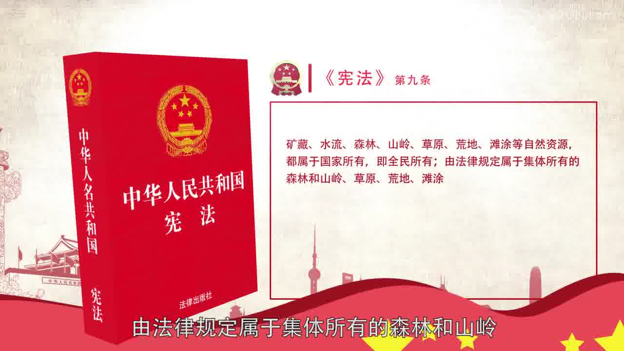 《图说法条》第二十三期《图说宪法第九条》