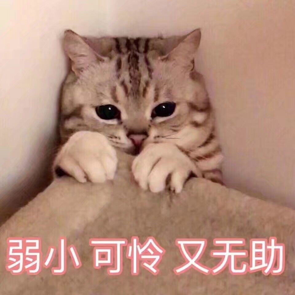 155438484247601395.jpeg