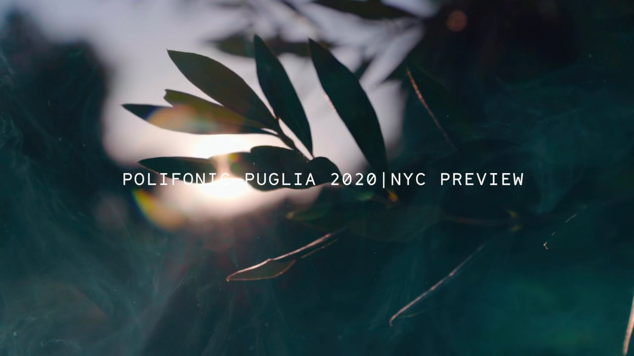 Polifonic - Teaser preview 2020 NYC