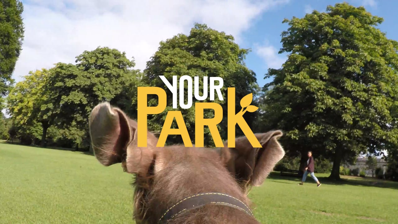 Parks Foundation: Your Park