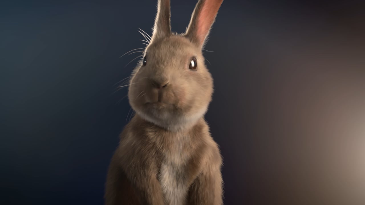 REDRUM - Mr. Rabbit