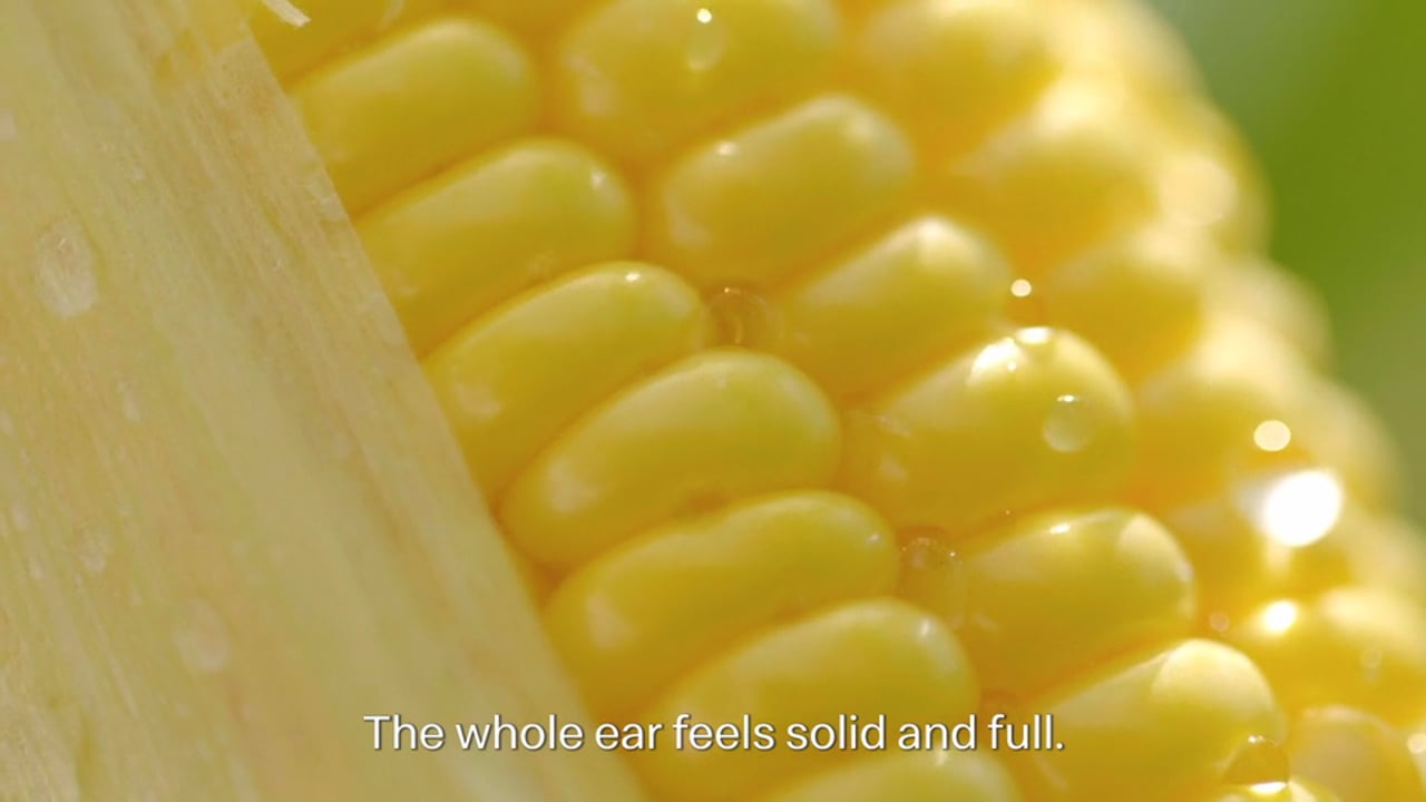 McD_Ingredients 2019_ Corn