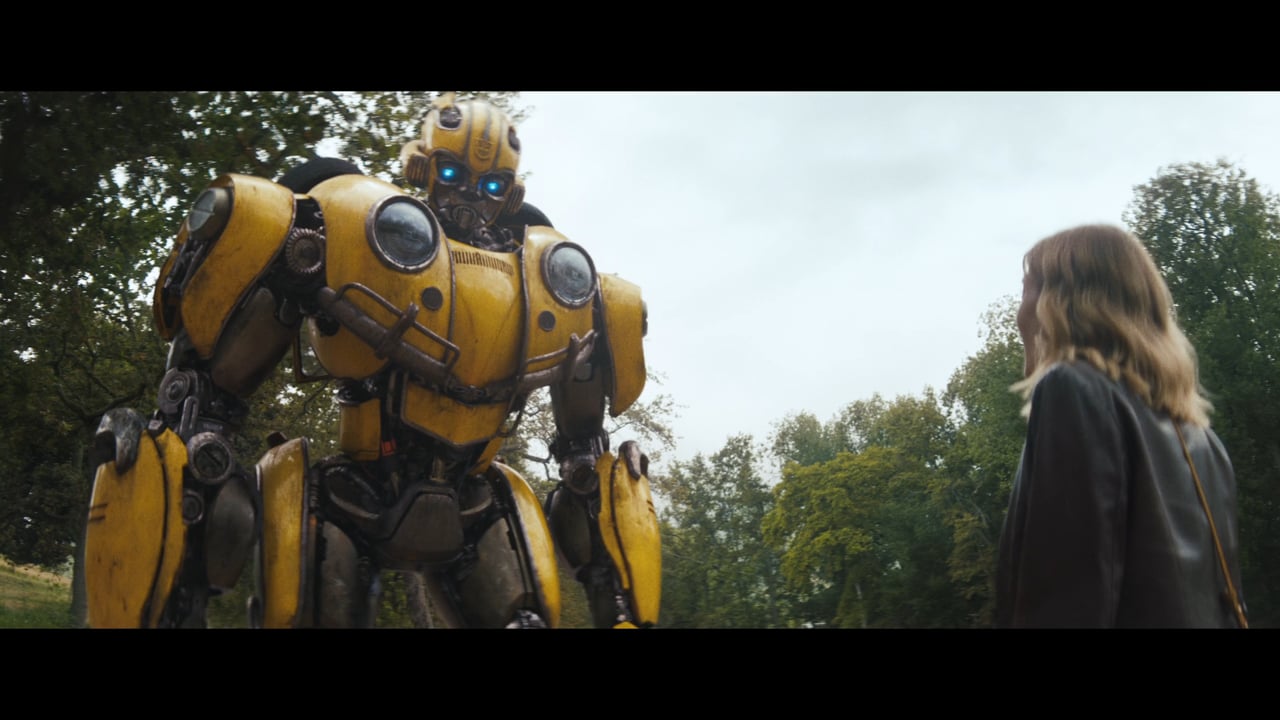 Direct Line 'We're On It' - Bumblebee