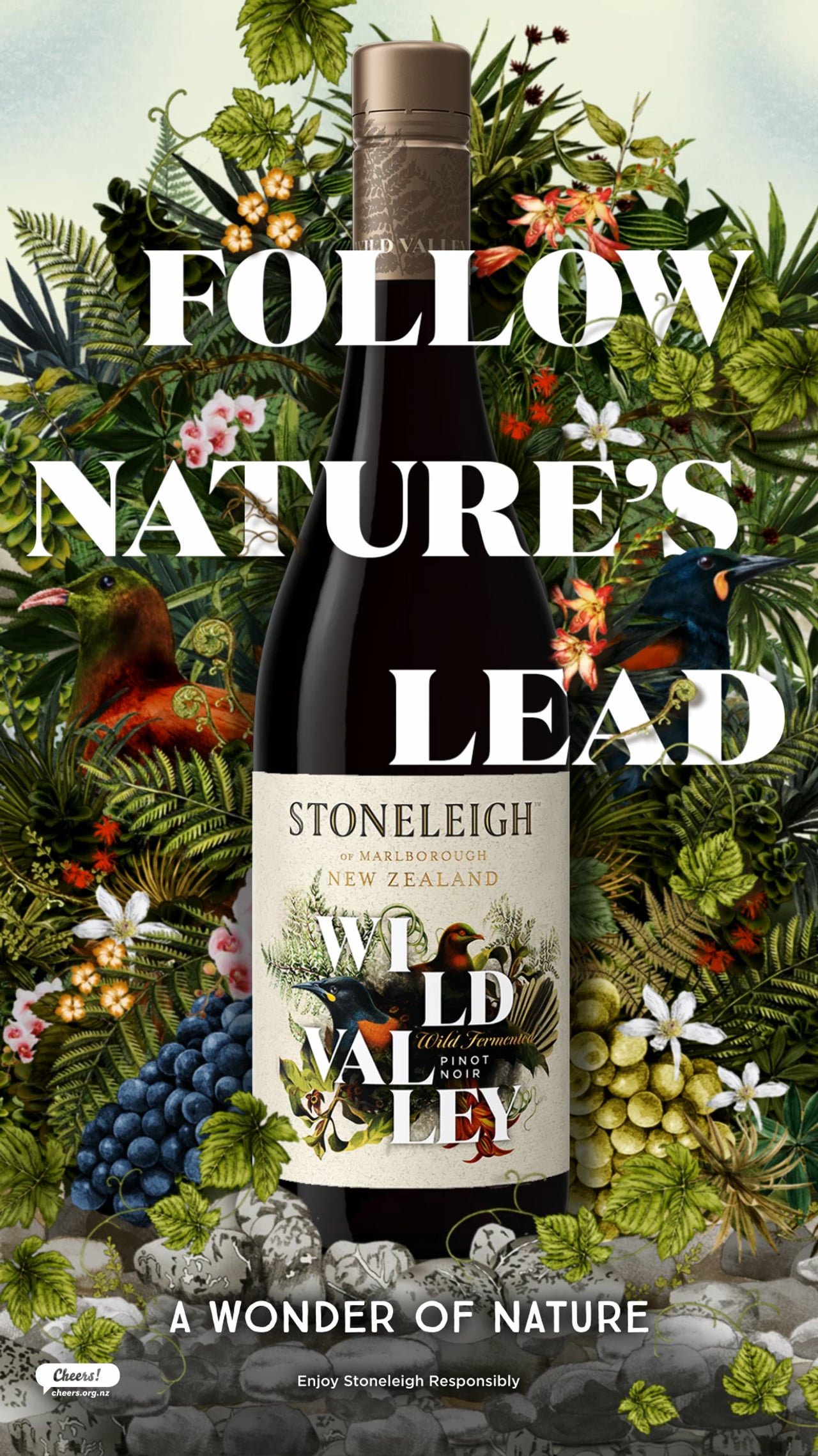 Stoneleigh Wild Valley Pinot Noir