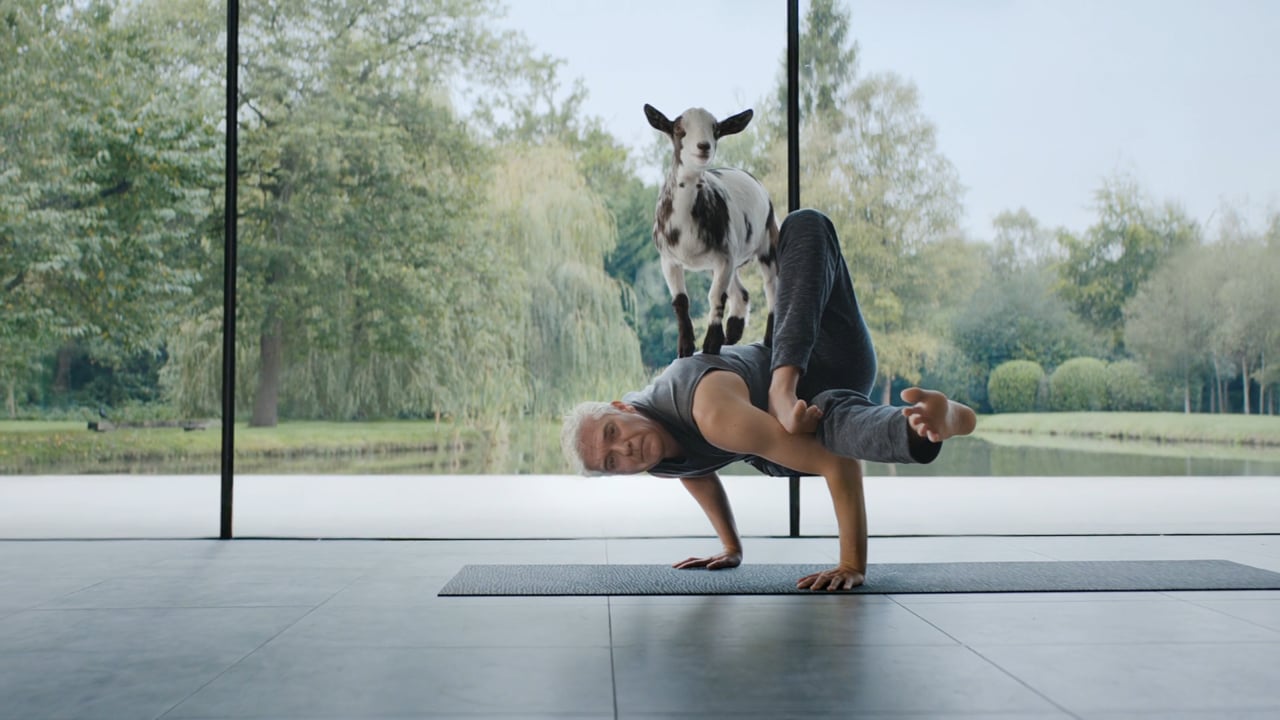 WBAC - Goat Yoga