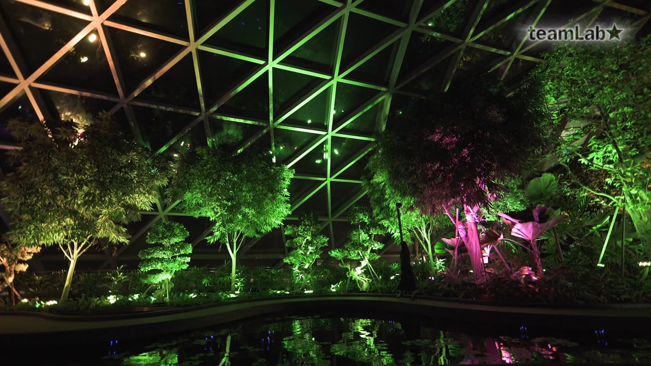 Resonating Trees – Topiary Walk at Jewel Changi Airport / 呼応する木々