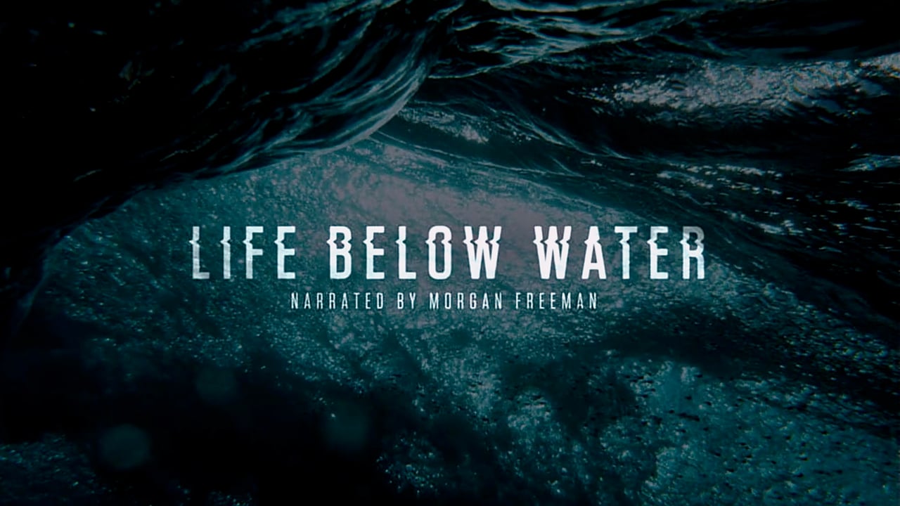 LIFE BELOW WATER-MORGAN FREEMAN