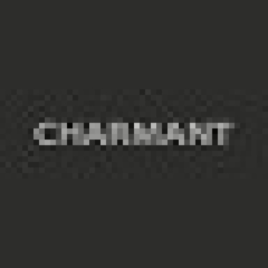 CHARMANT Group