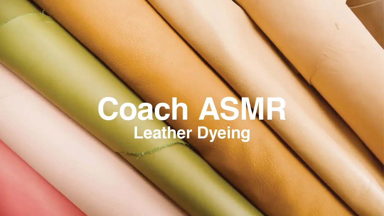 Coach ASMR | Leather Dyeing