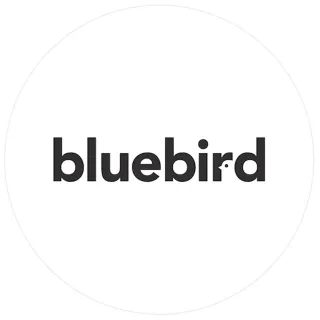 bluebird artists