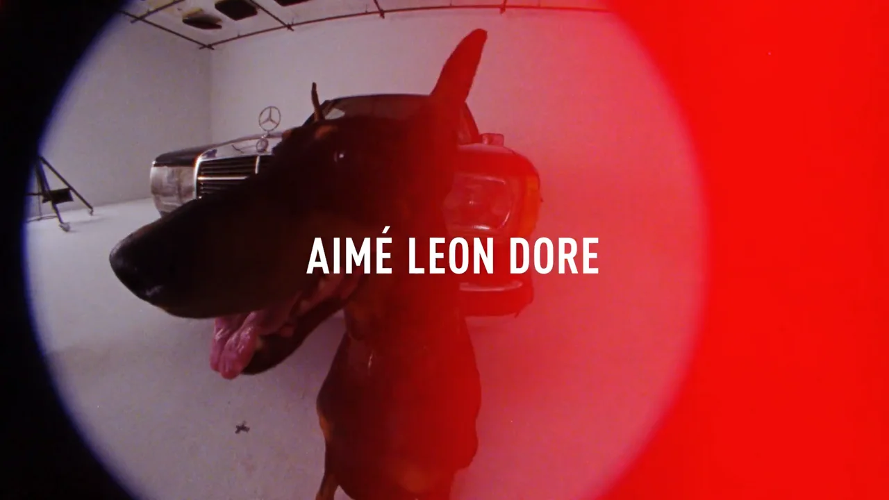 Aime Leon Dore - FW18