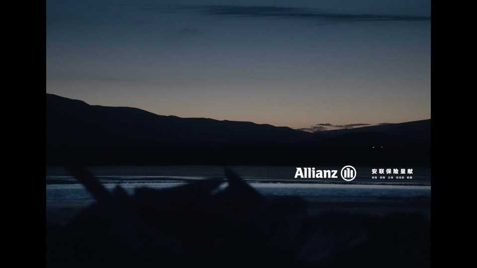 Allianz 安联保险