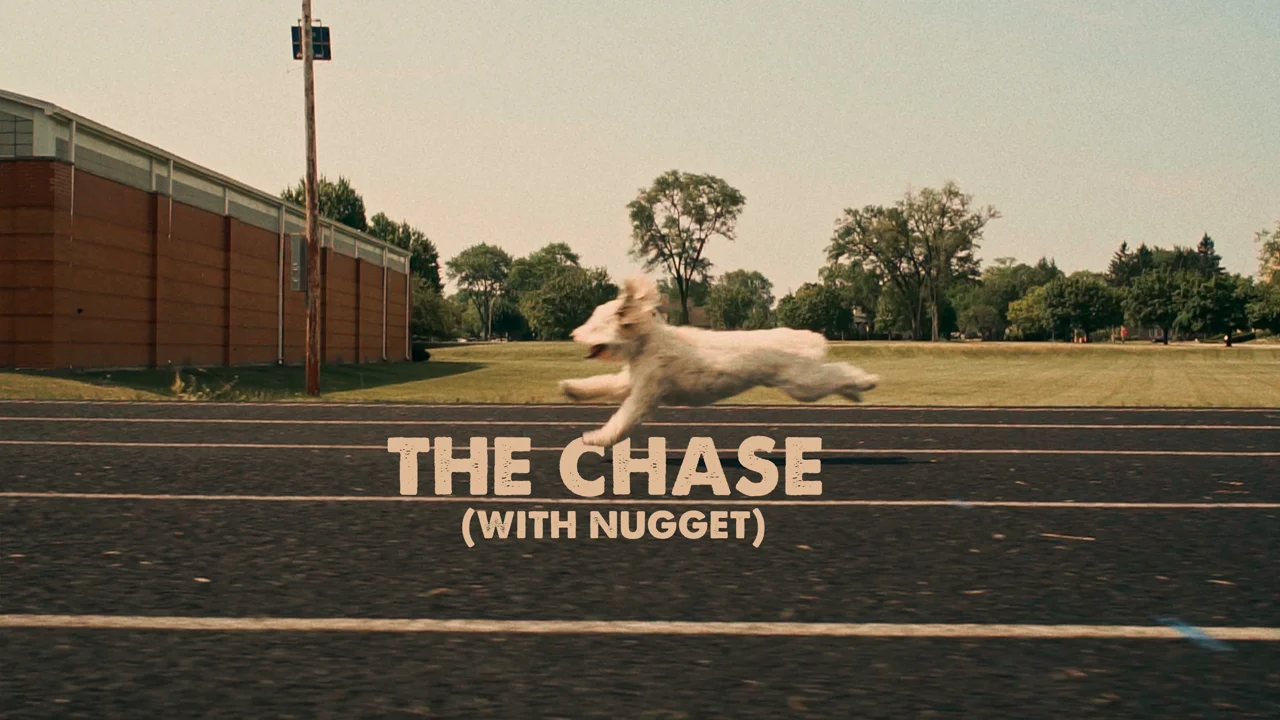 The Chase (with Nugget)