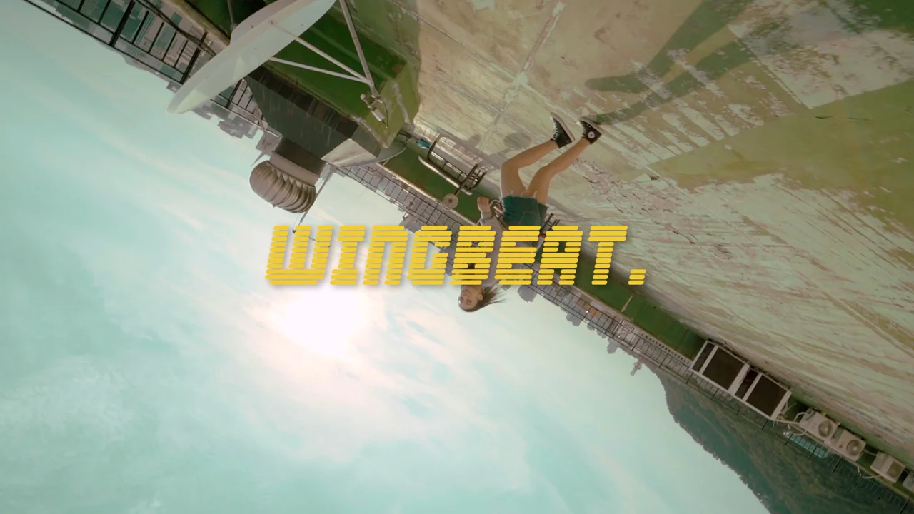 Wingbeat (2018)