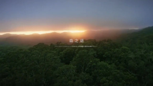 NIO × Discovery 打造「可移动的森林」