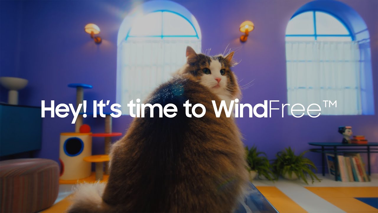 WindFree™ Air Conditioner Official Film: Cool. Quiet. Saving. l Samsung