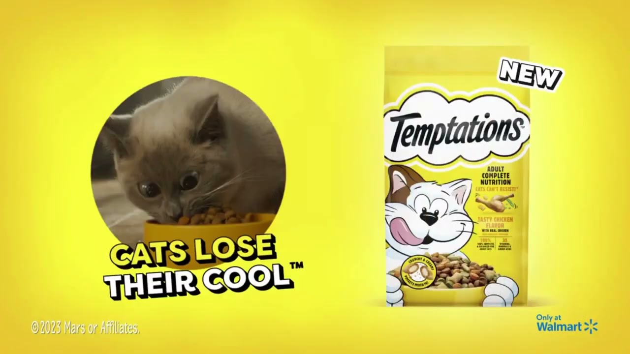 Temptations | CATS LOSE THEIR COOL | Agency: adam&eveDDB