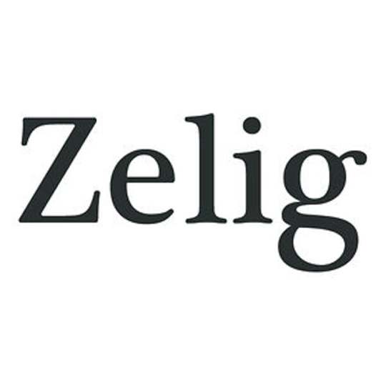 Zelig Sound Music &amp Sound