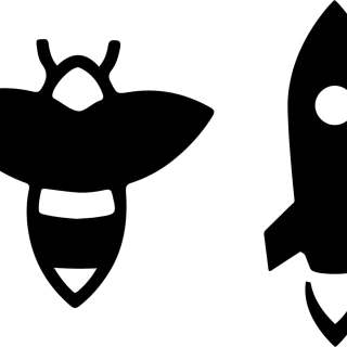 Bees and Rockets