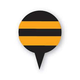 Honeybees &amp Honeycomb Studio