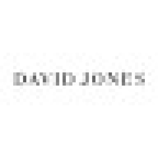 David Jones Store