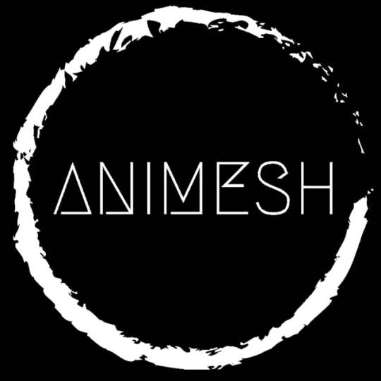 Animesh Jana