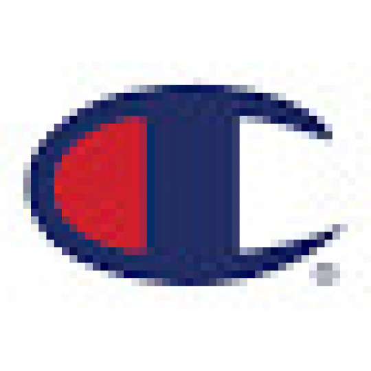 Champion