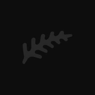 Fern