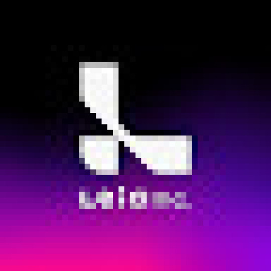 Leia Inc