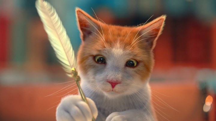 会做纯植物唇膏的猫猫 你见过吗？