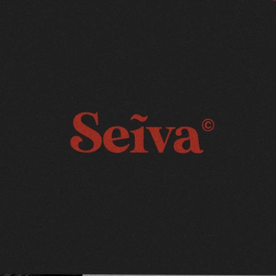 Seĩva