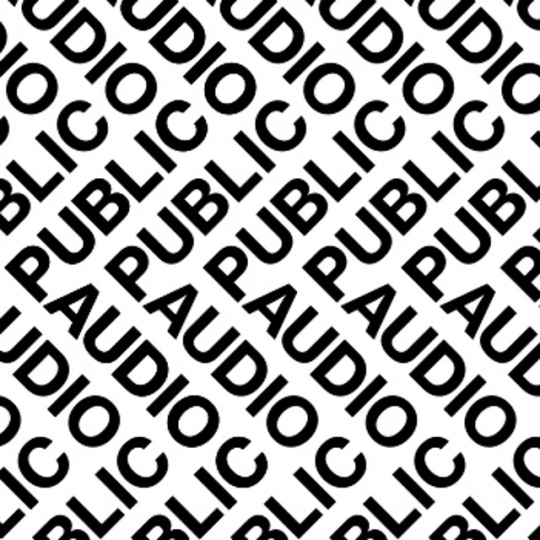 PUBLIC AUDIO