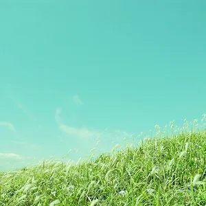 Hiroki Shioya