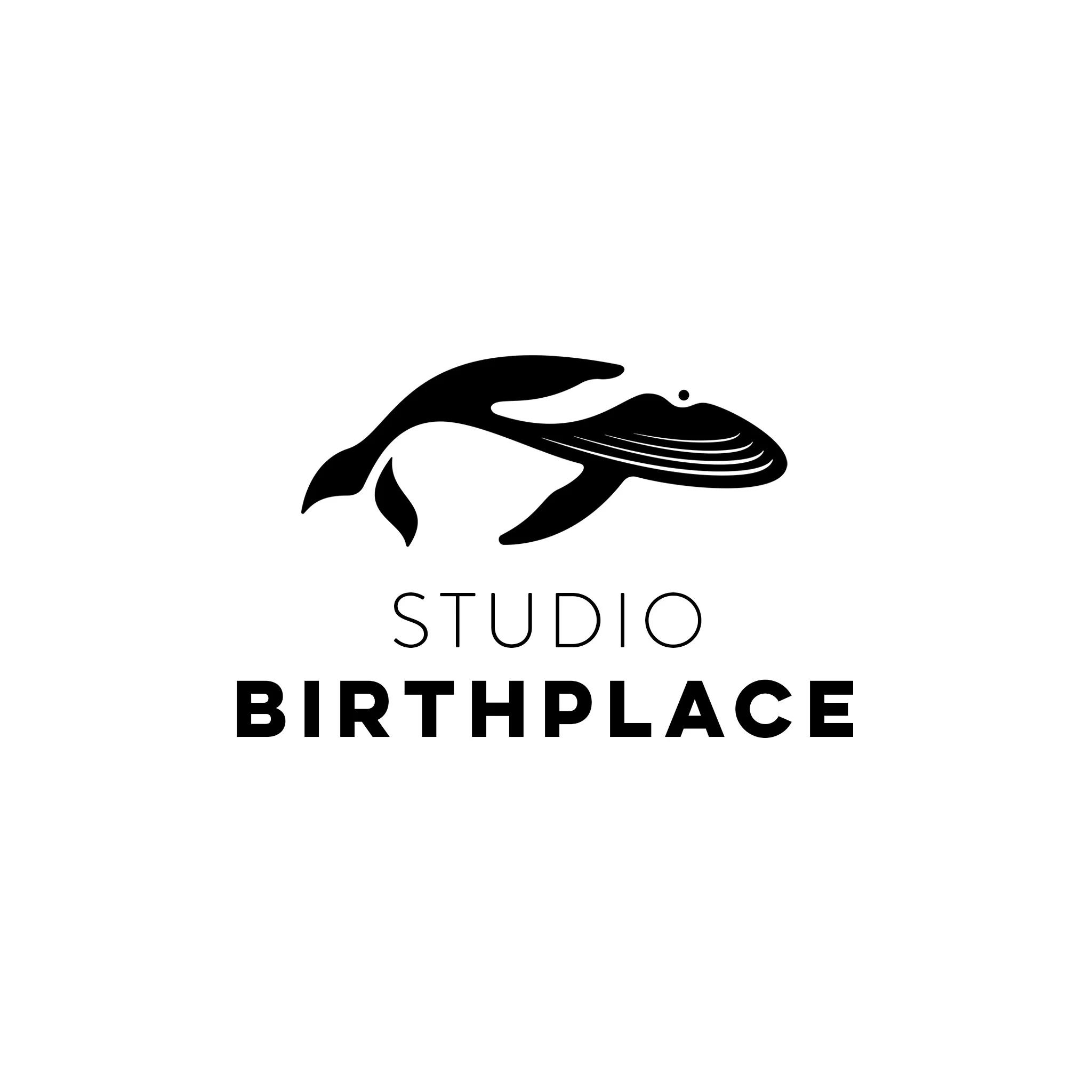 Studio Birthplace