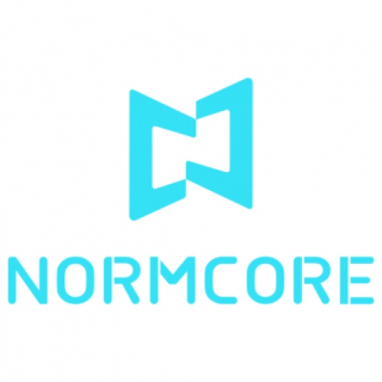 NORMCORE诺锞传媒
