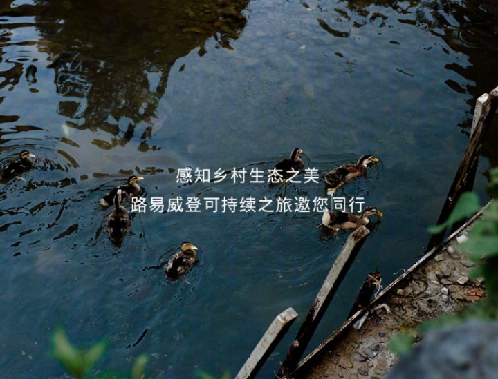 LV × 集锦开启可持续之旅 LV × 集锦开启可持续之旅