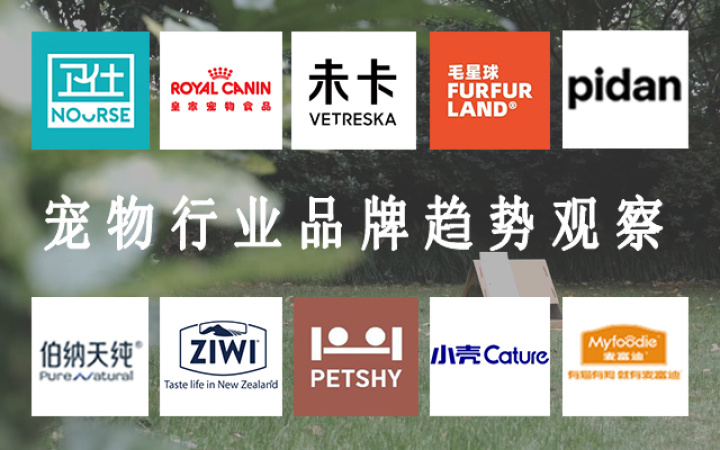 宠物赛道趋势观察：盘过30+宠物品牌，总结出这4大趋势