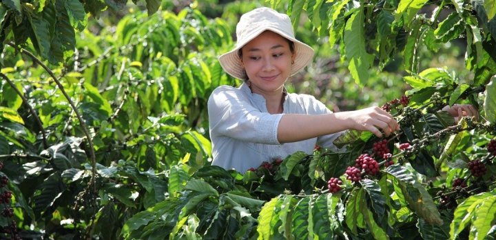 雀巢咖啡发布 2030 计划 雀巢咖啡发布 2030 计划