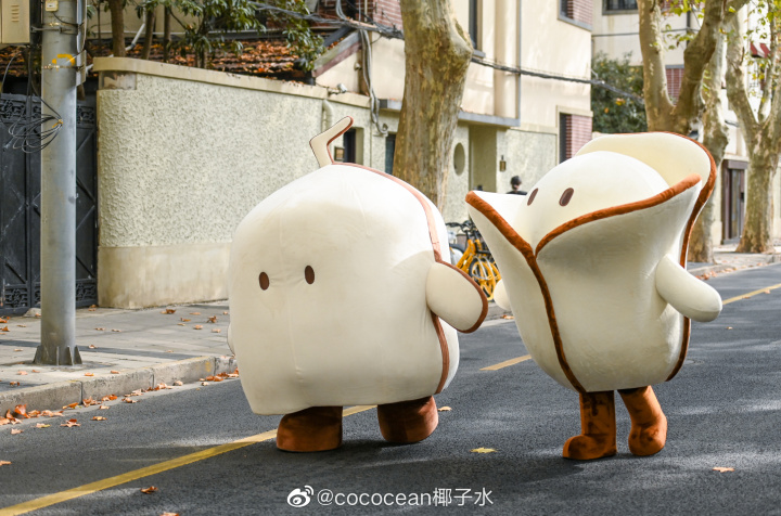 cococean 快拍活动萌趣来袭 cococean 快拍活动萌趣来袭