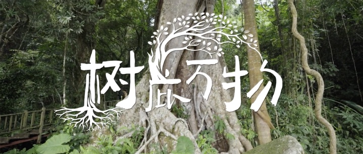 奔驰 × 中国国家地理推出树木纪录片 奔驰 × 中国国家地理推出树木纪录片