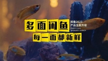 多面闲鱼，每一面都新鲜