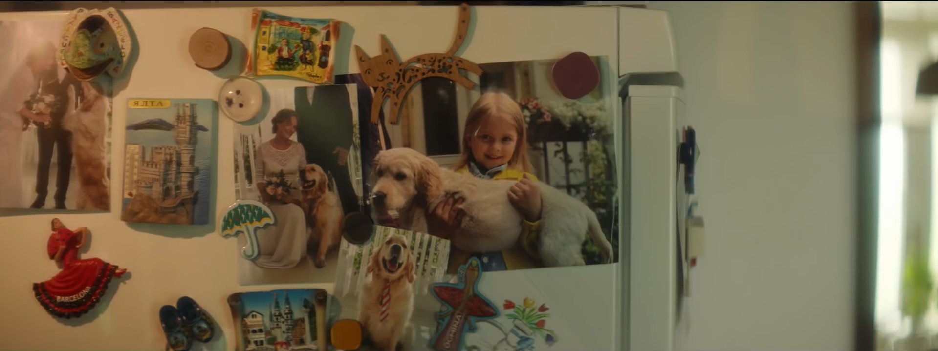 法国动物慈善基金会30 Millions d'Amis - 令人心碎的宠物公益广告活动 - 2018 Heartbreaking Pet Campaign
