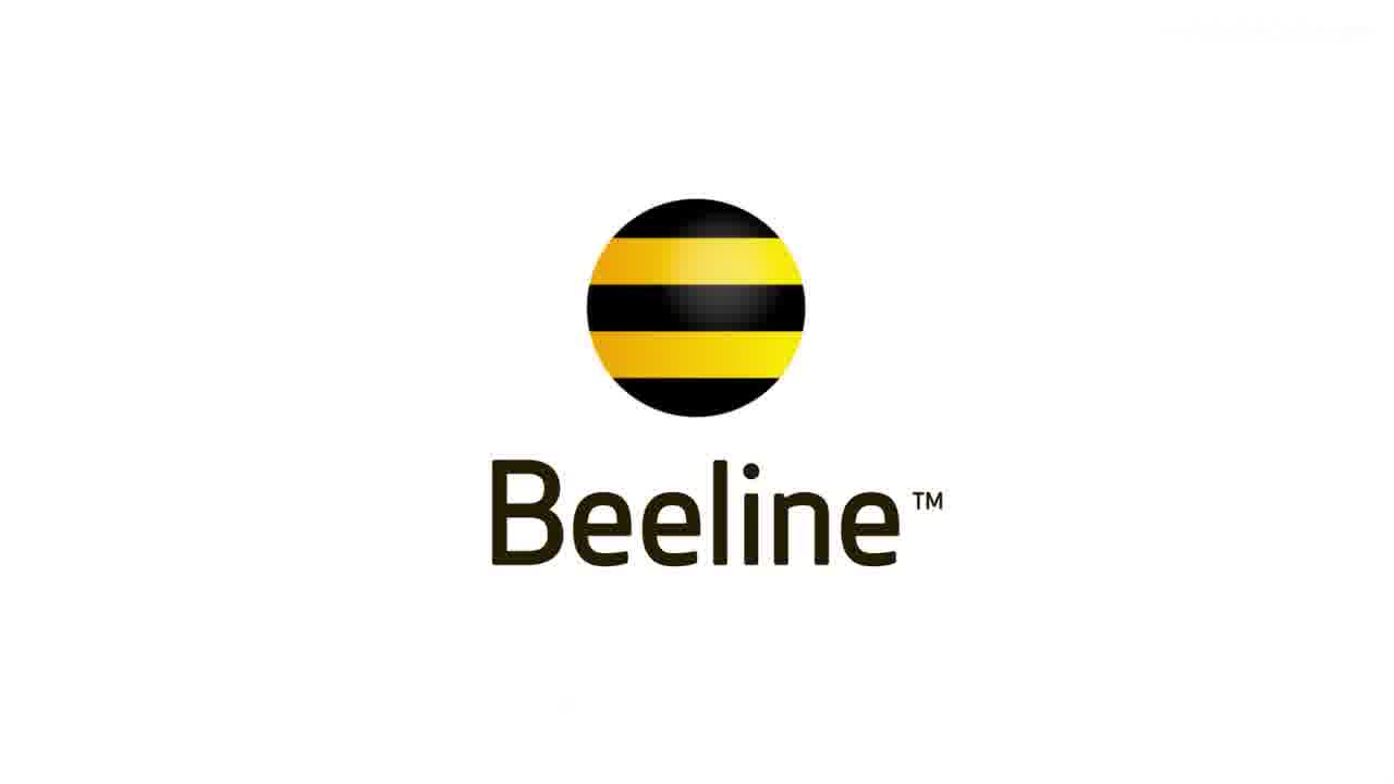 BEELINE - THIS IS HOW WE WAIT FOR YOU