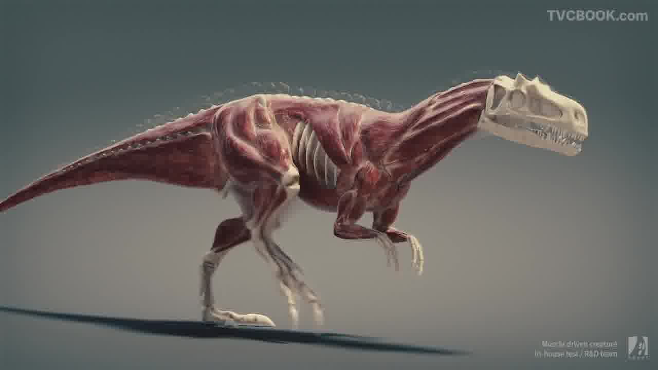 Muscle-driven creature | in-house test