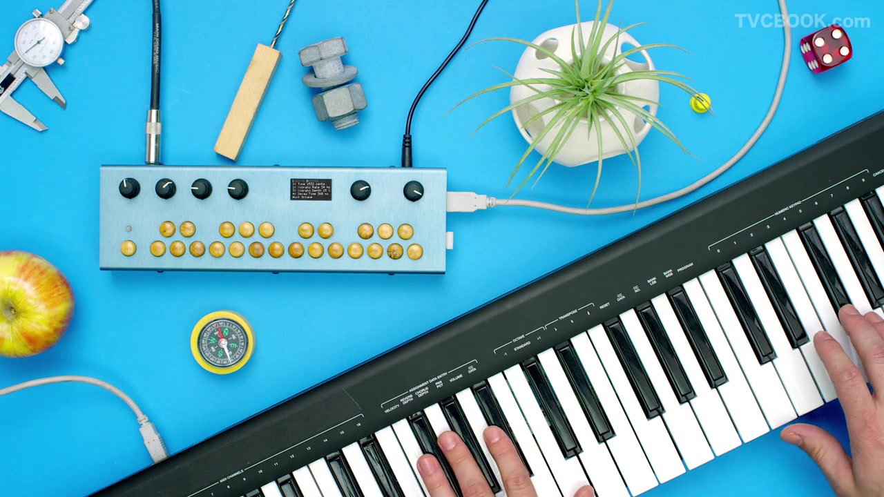 Critter And Guitari: Organelle