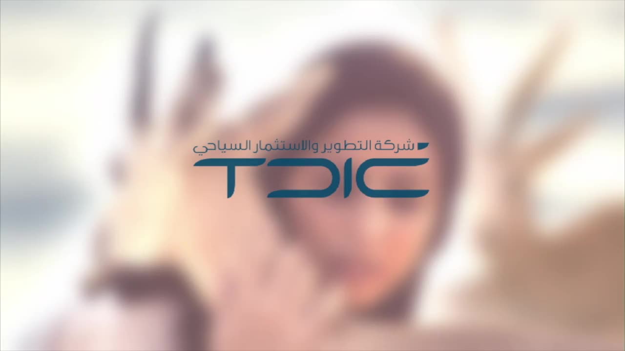 TDIC 'Brand'