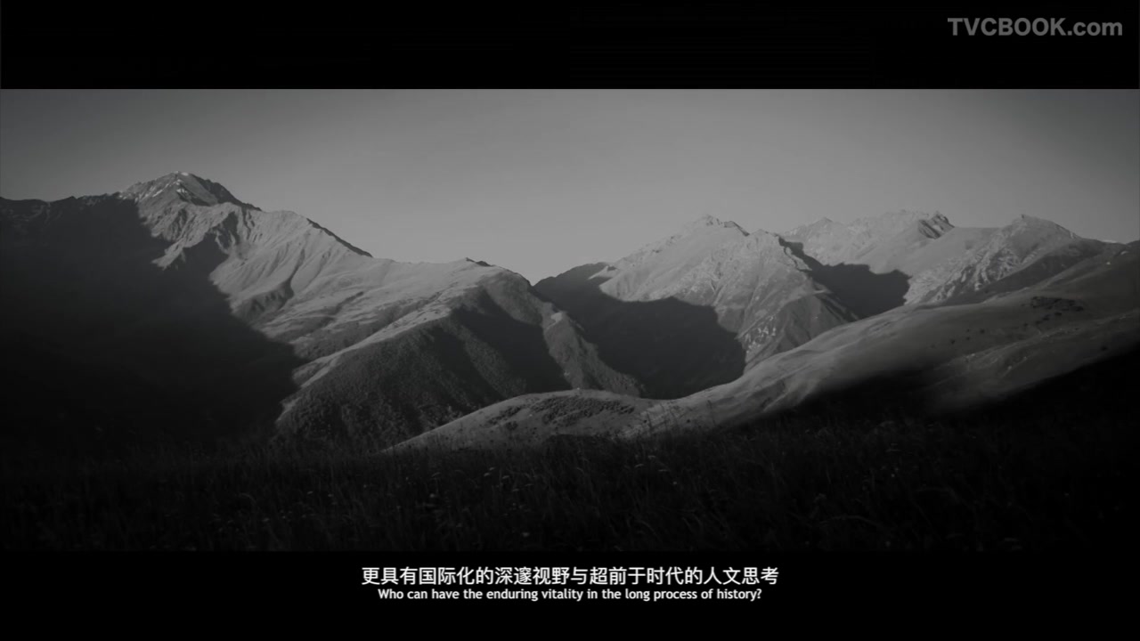 上海世茂集团-宣传