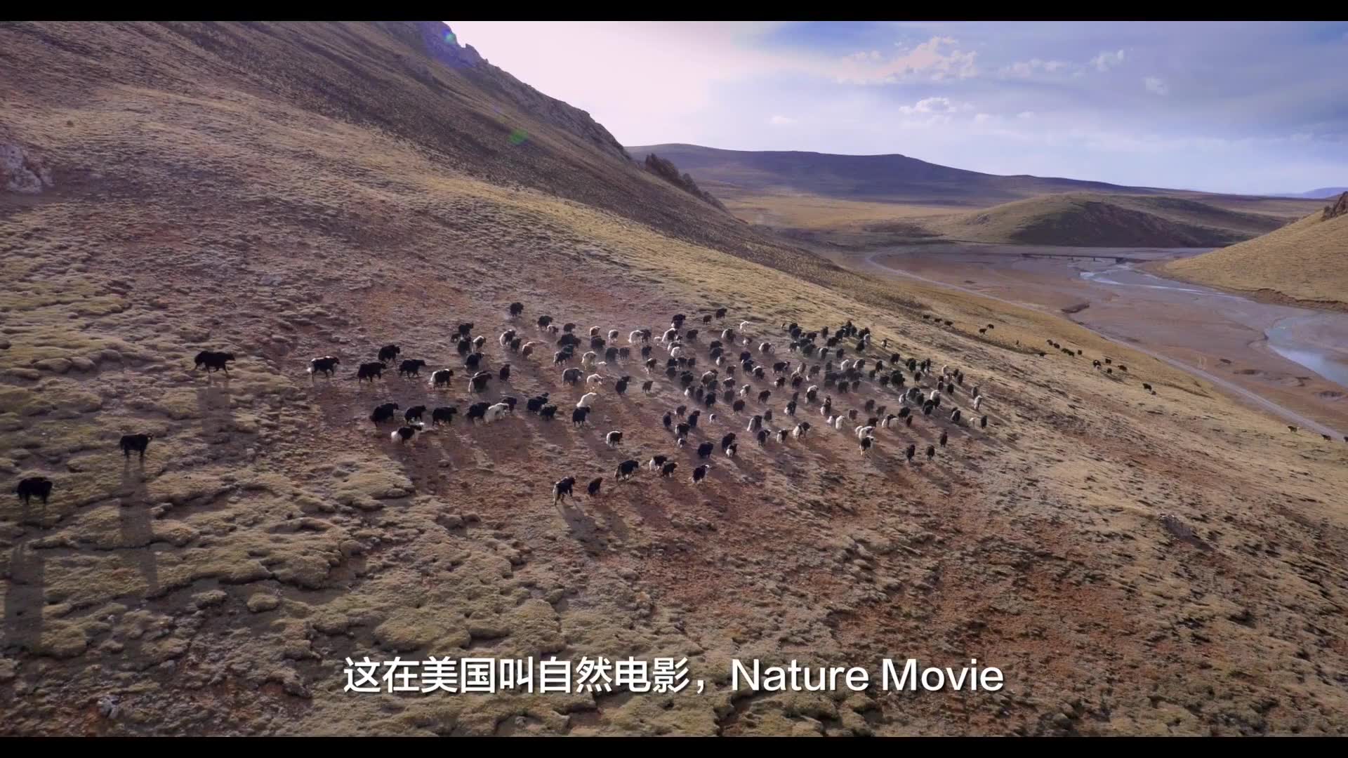 陸川帶著100多個老外花三年，拍攝了一部令人震撼的電影《我們誕生在中國》
