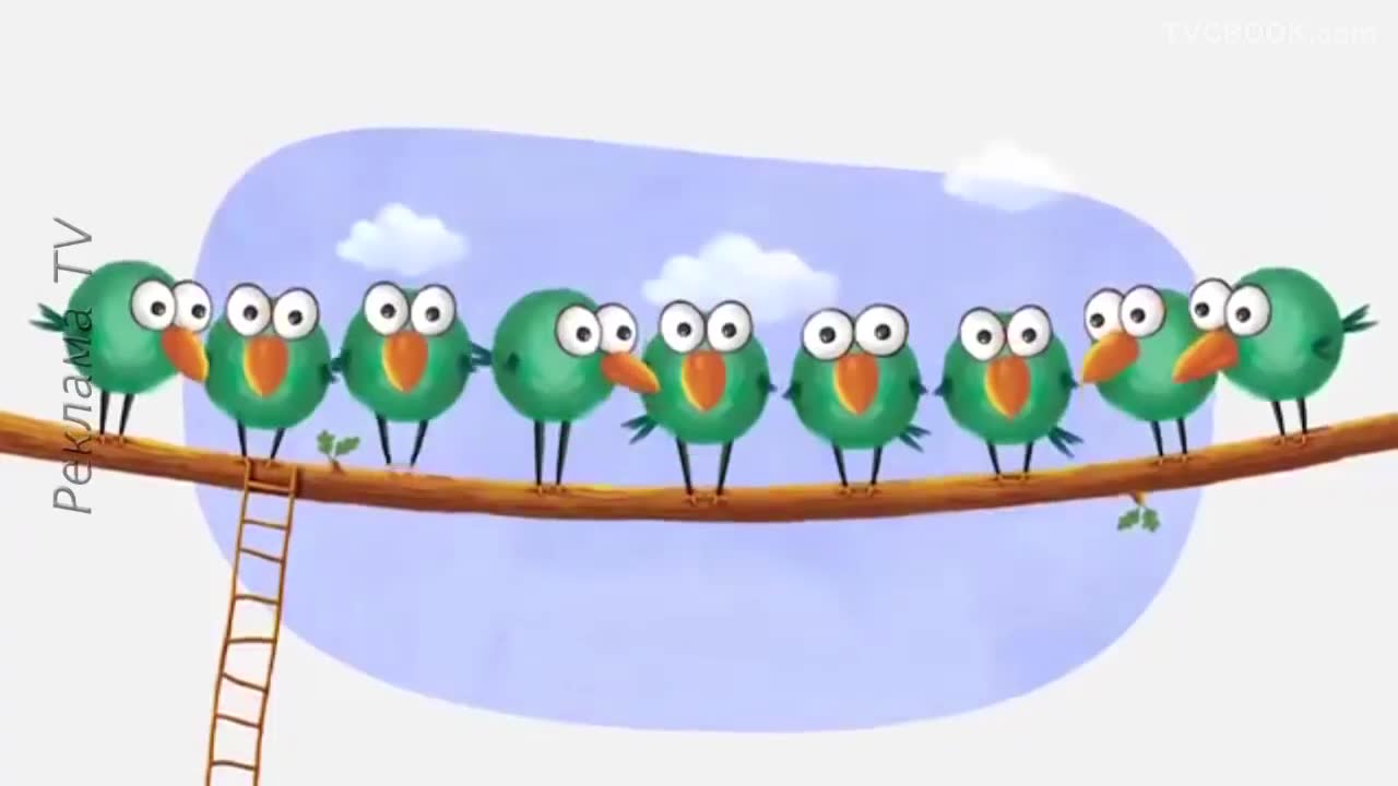 Реклама Фокстрот копійчужки (большая птица) 2015. Копейчужки. Копийчужки.