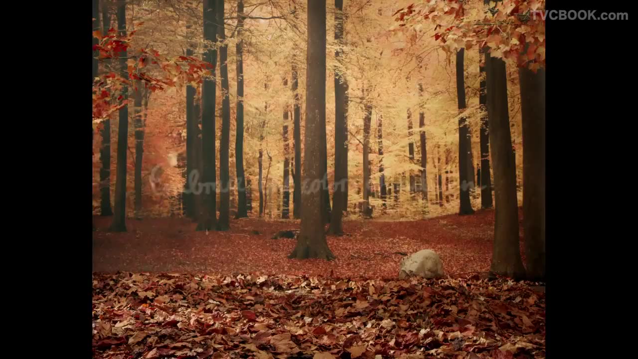 현대백화점 5th Story. EMBRACE the colors of autumn